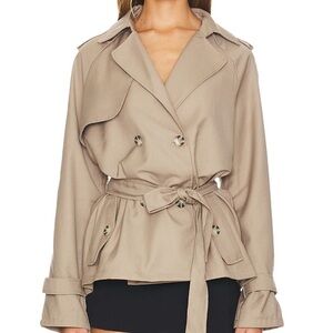Lioness Cropped Trench
